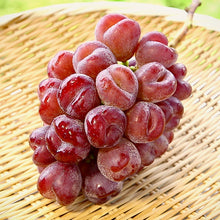 画像をギャラリービューアに読み込む, 【今季販売数終了】ハート型の果実を持つ甘い赤ブドウ『マイハート』１房（生産者直送）

