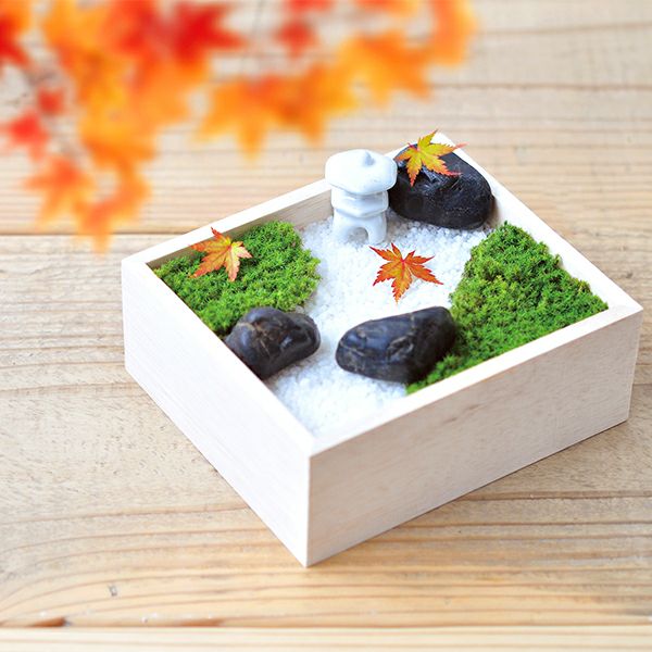 【コケの盆栽】苔盆