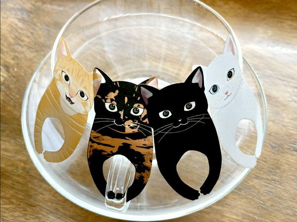４匹の猫のティーバッグ　紅茶４種セット 【オーシャンティーバッグ】