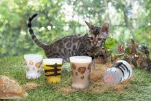 画像をギャラリービューアに読み込む, ここねこグラス 親猫
