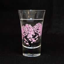 画像をギャラリービューアに読み込む, 【温度で色が変わるグラス】日本の四季　天開グラス　４種セット
