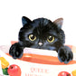 【SALE】かわいい子猫のフレーバーティー　キャラメル＆アップル　３箱セット（１箱４包入り）