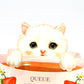 【SALE】かわいい子猫のフレーバーティー　ストロベリー　３箱セット（１箱４包入り）